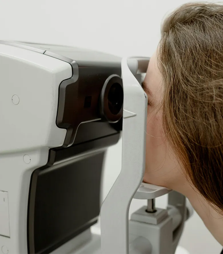 Bild für Netzhaut, Glaskörper und Sehnerv