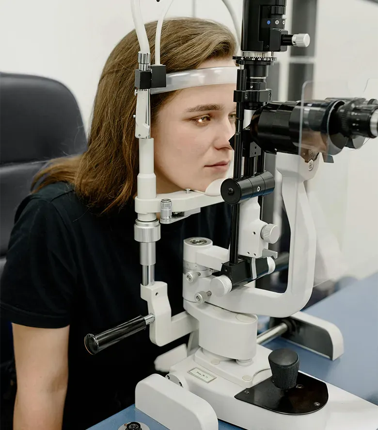 Bild für Lider, Linse und Hornhaut